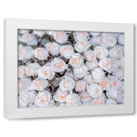 Full frame of Roses White Modern Wood Framed Art Print by Frank, Assaf