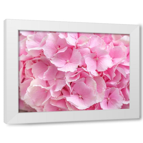 Hydrangea flower bouquet White Modern Wood Framed Art Print by Frank, Assaf
