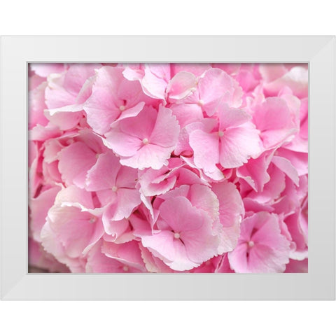 Hydrangea flower bouquet White Modern Wood Framed Art Print by Frank, Assaf