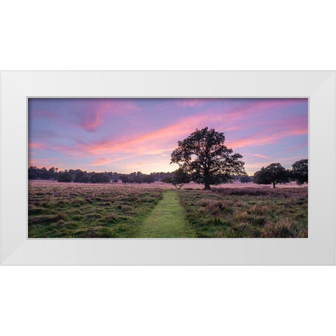 Pathway through meadow White Modern Wood Framed Art Print by Frank, Assaf