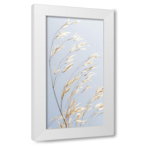 Panicle ripe Oats White Modern Wood Framed Art Print by Frank, Assaf
