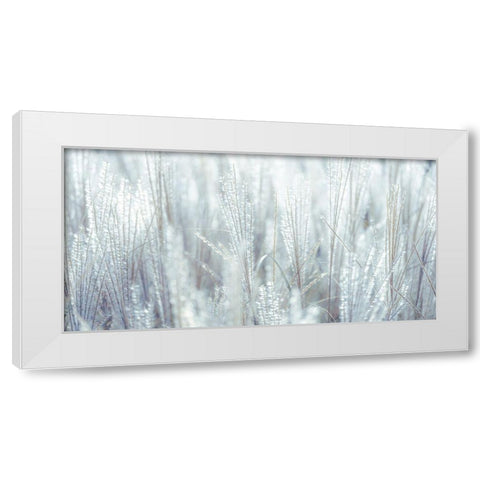 Japanese Silver Grass White Modern Wood Framed Art Print by Frank, Assaf