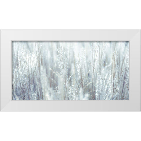 Japanese Silver Grass White Modern Wood Framed Art Print by Frank, Assaf