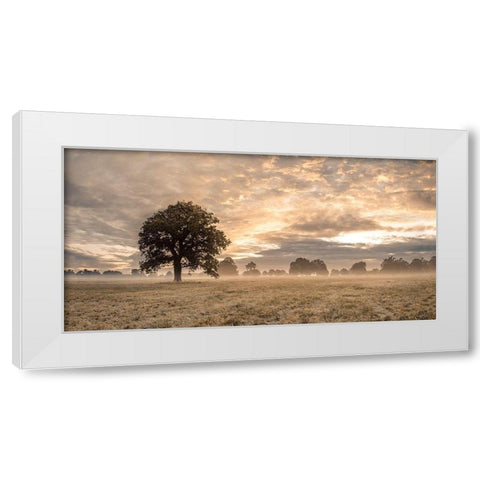 Tree in a filed at sunrise White Modern Wood Framed Art Print by Frank, Assaf