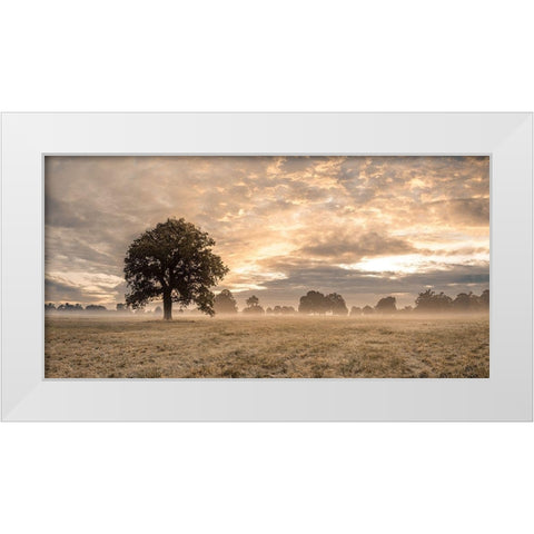 Tree in a filed at sunrise White Modern Wood Framed Art Print by Frank, Assaf