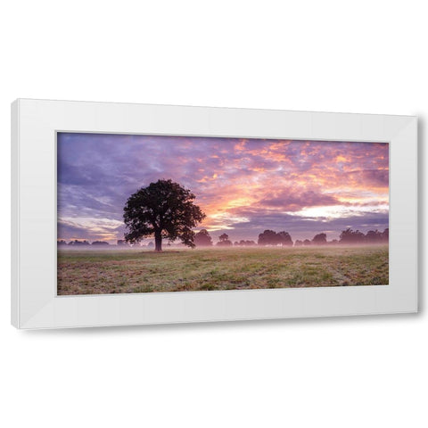 Tree in a filed at sunrise White Modern Wood Framed Art Print by Frank, Assaf