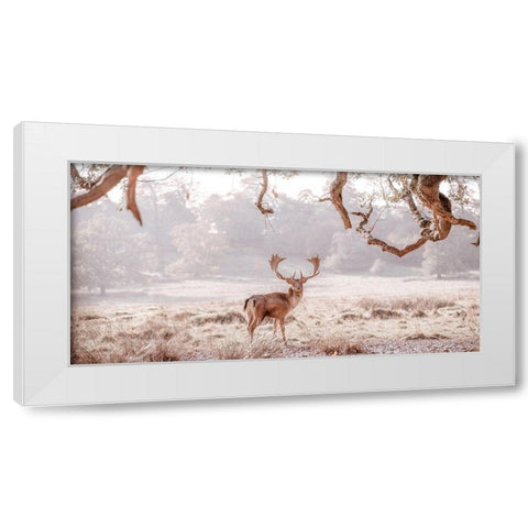 Stag in a field White Modern Wood Framed Art Print by Frank, Assaf