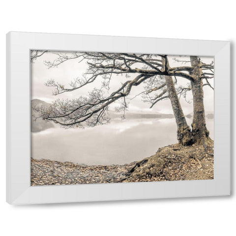 Tree by the Lake White Modern Wood Framed Art Print by Frank, Assaf