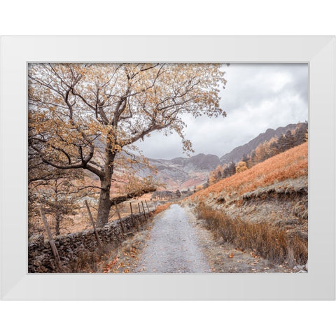Countryside dirt road White Modern Wood Framed Art Print by Frank, Assaf