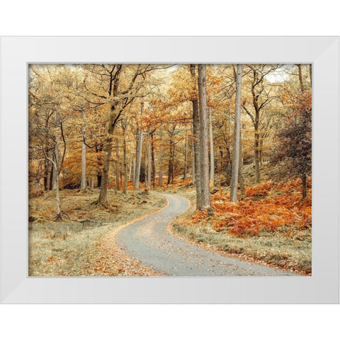 Road through forest White Modern Wood Framed Art Print by Frank, Assaf