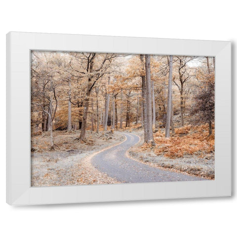 Forest path-Lake District White Modern Wood Framed Art Print by Frank, Assaf