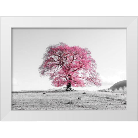 Tree on a hill White Modern Wood Framed Art Print by Frank, Assaf