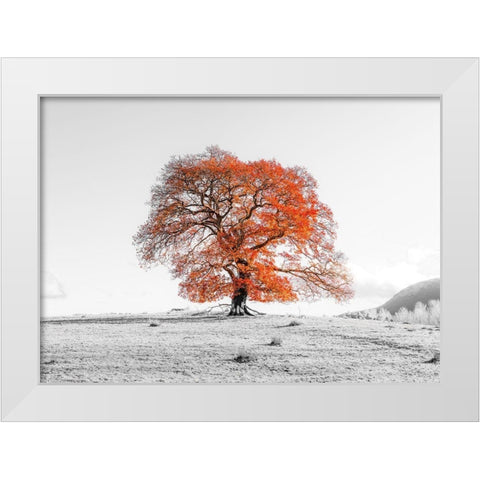 Tree on a hill White Modern Wood Framed Art Print by Frank, Assaf