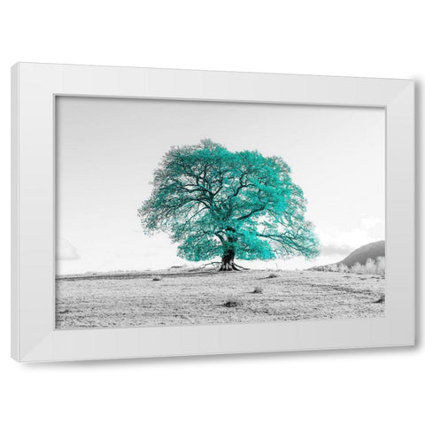 Tree on a hill White Modern Wood Framed Art Print by Frank, Assaf