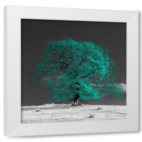 Tree on a hill-teal White Modern Wood Framed Art Print by Frank, Assaf