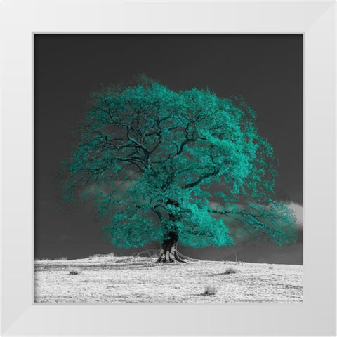 Tree on a hill-teal White Modern Wood Framed Art Print by Frank, Assaf