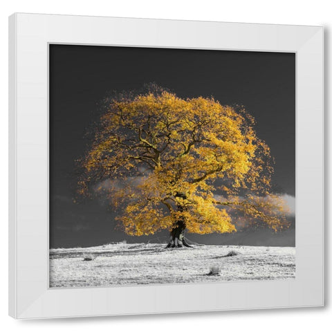 Tree on a hill-yellow-gold White Modern Wood Framed Art Print by Frank, Assaf