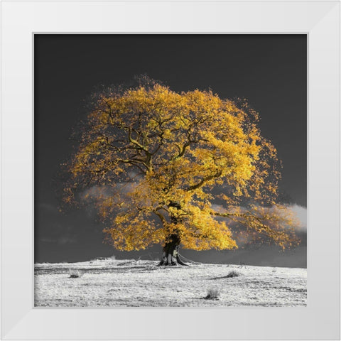Tree on a hill-yellow-gold White Modern Wood Framed Art Print by Frank, Assaf