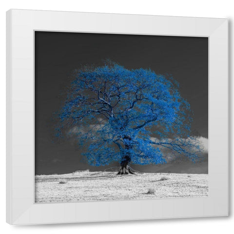 Tree on a hill-blue White Modern Wood Framed Art Print by Frank, Assaf