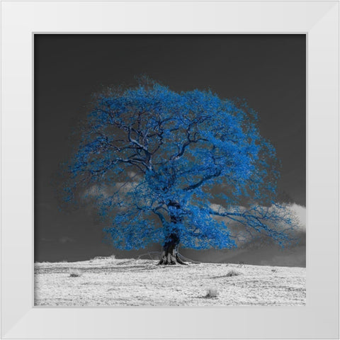 Tree on a hill-blue White Modern Wood Framed Art Print by Frank, Assaf
