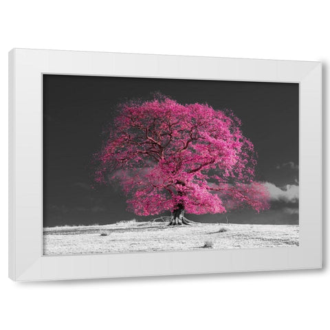 Tree on a hill-pink White Modern Wood Framed Art Print by Frank, Assaf