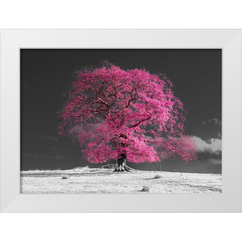 Tree on a hill-pink White Modern Wood Framed Art Print by Frank, Assaf