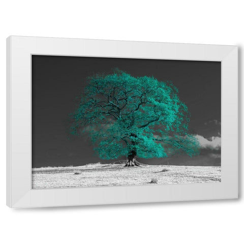 Tree on a hill-teal White Modern Wood Framed Art Print by Frank, Assaf