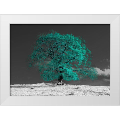 Tree on a hill-teal White Modern Wood Framed Art Print by Frank, Assaf