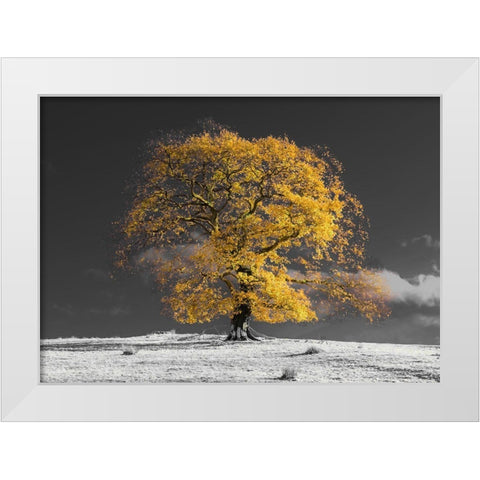 Tree on a hill-yellow-gold White Modern Wood Framed Art Print by Frank, Assaf