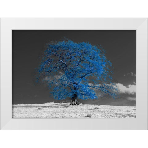 Tree on a hill-blue White Modern Wood Framed Art Print by Frank, Assaf