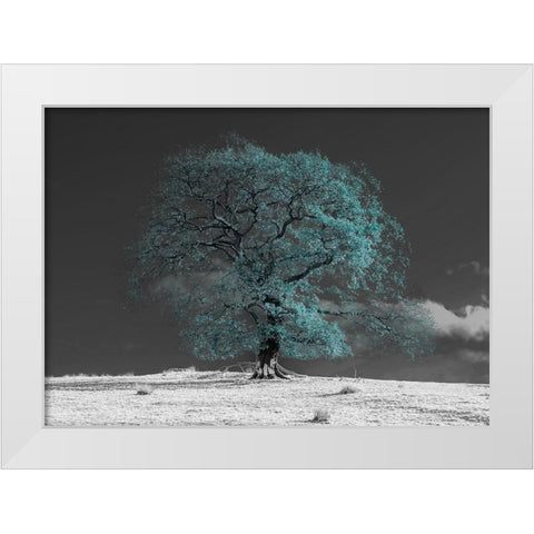 Tree on a hill-teal White Modern Wood Framed Art Print by Frank, Assaf
