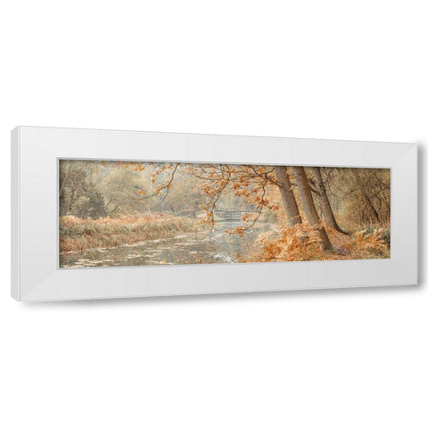 Canal through a forest White Modern Wood Framed Art Print by Frank, Assaf
