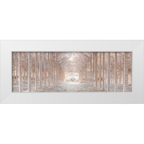 Winter forest White Modern Wood Framed Art Print by Frank, Assaf