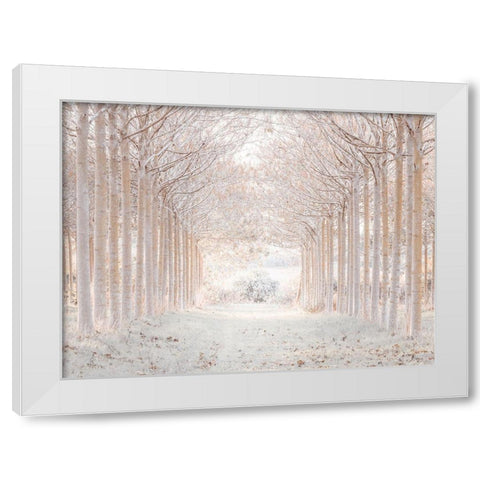 Winter forest White Modern Wood Framed Art Print by Frank, Assaf