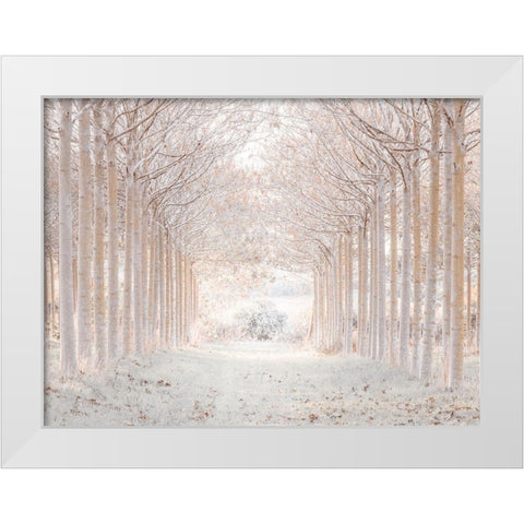 Winter forest White Modern Wood Framed Art Print by Frank, Assaf