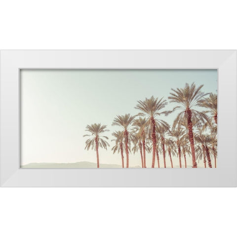 Palm Trees White Modern Wood Framed Art Print by Frank, Assaf