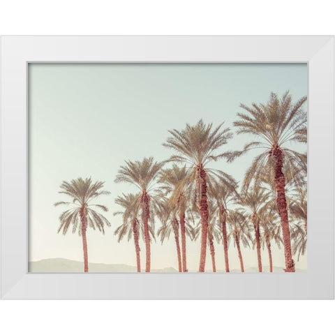 Palm Trees White Modern Wood Framed Art Print by Frank, Assaf