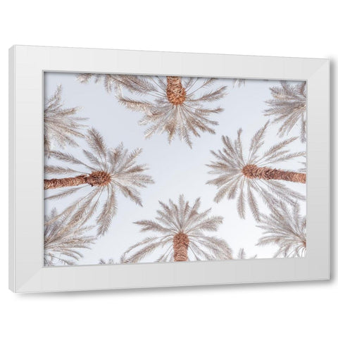 Palm Trees White Modern Wood Framed Art Print by Frank, Assaf