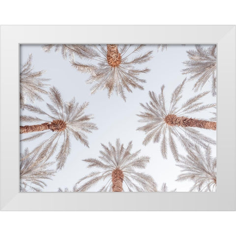 Palm Trees White Modern Wood Framed Art Print by Frank, Assaf