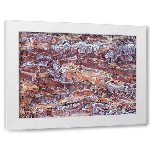 Frost on wood bark White Modern Wood Framed Art Print by Frank, Assaf