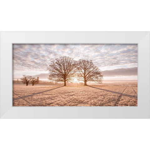 Trees in meadow White Modern Wood Framed Art Print by Frank, Assaf