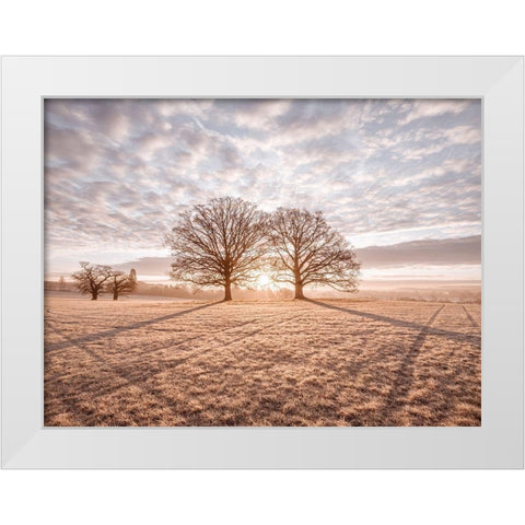 Trees in meadow White Modern Wood Framed Art Print by Frank, Assaf