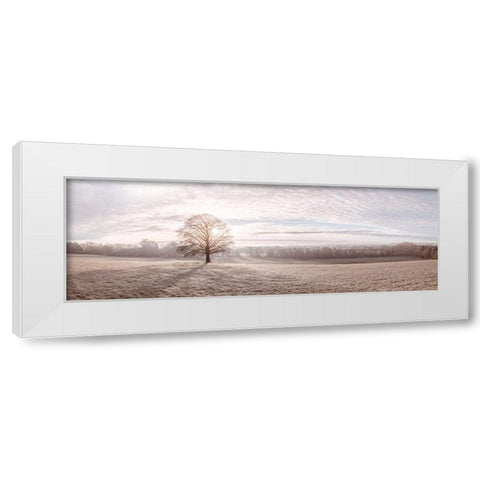 Trees in meadow White Modern Wood Framed Art Print by Frank, Assaf