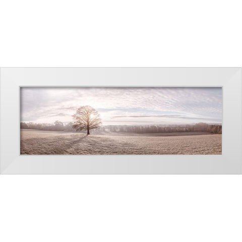 Trees in meadow White Modern Wood Framed Art Print by Frank, Assaf