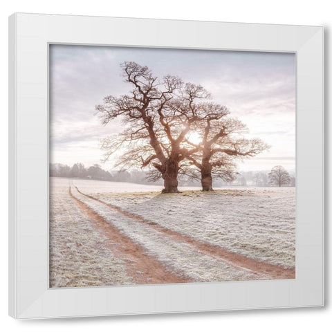 Dirt road through a meadow White Modern Wood Framed Art Print by Frank, Assaf