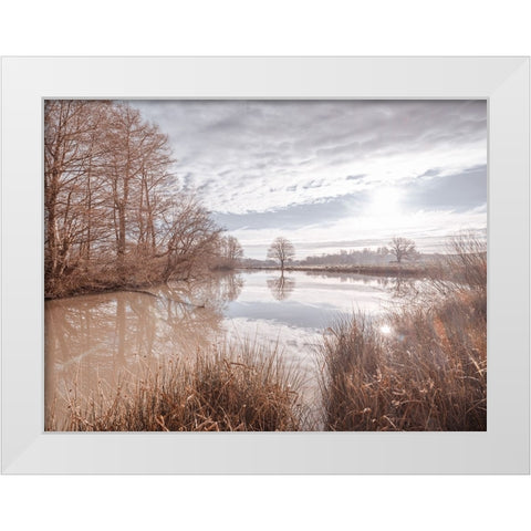 Pond reflection White Modern Wood Framed Art Print by Frank, Assaf
