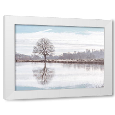 Reflection of a tree White Modern Wood Framed Art Print by Frank, Assaf