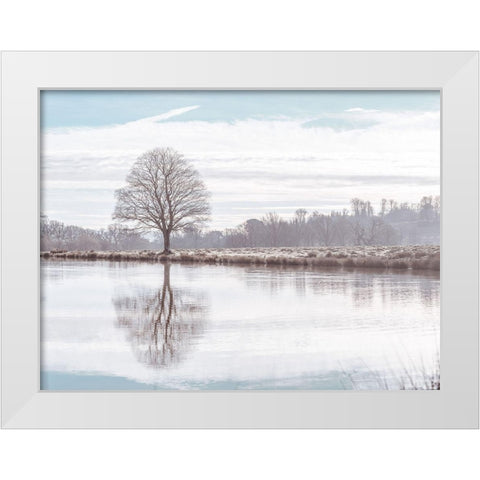 Reflection of a tree White Modern Wood Framed Art Print by Frank, Assaf