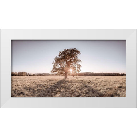 Sun shining through a tree White Modern Wood Framed Art Print by Frank, Assaf