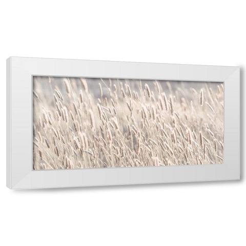 Grass in meadow White Modern Wood Framed Art Print by Frank, Assaf
